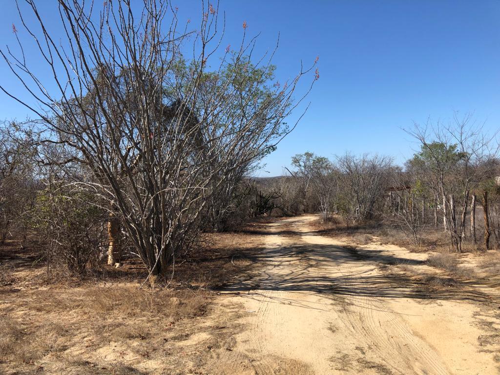 campamento lote 15 campamento, Santiago, East Cape, photo 2
