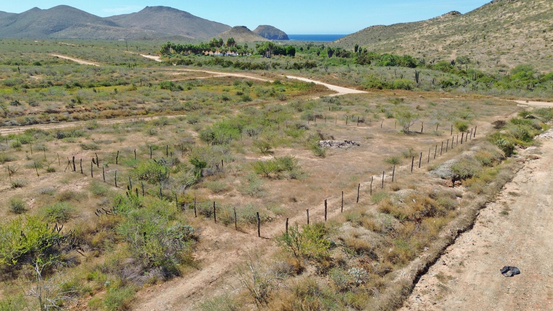 Lot in Todos Santos-General, Pacific, photo 2