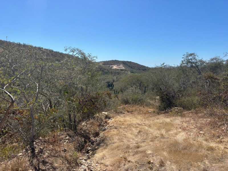 1 Animas Bajas, La Choya, San Jose del Cabo