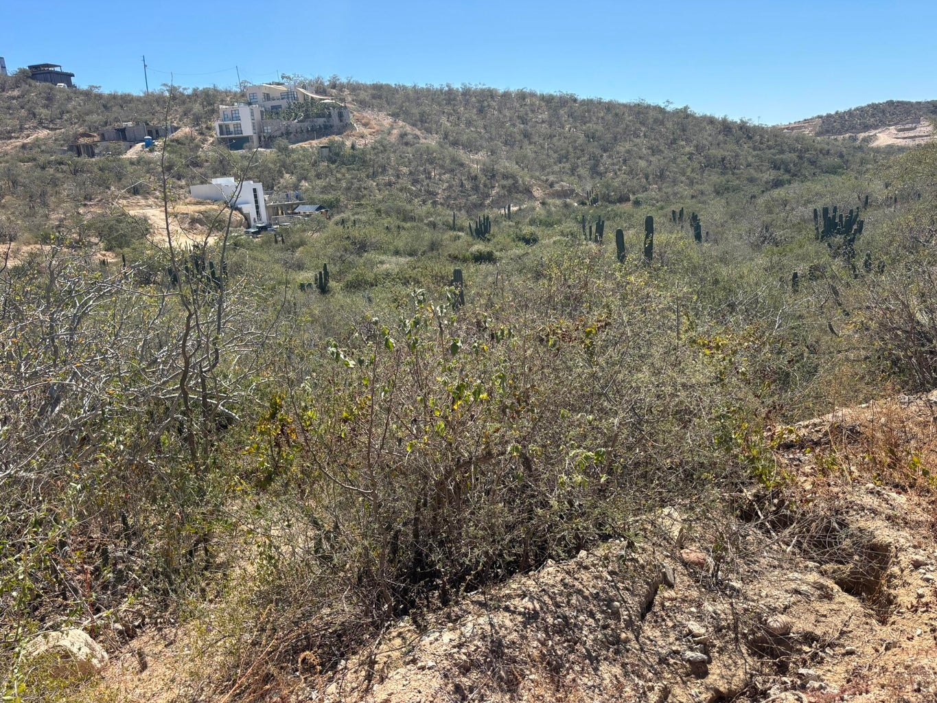 1 Animas Bajas, La Choya, San Jose del Cabo, photo 2