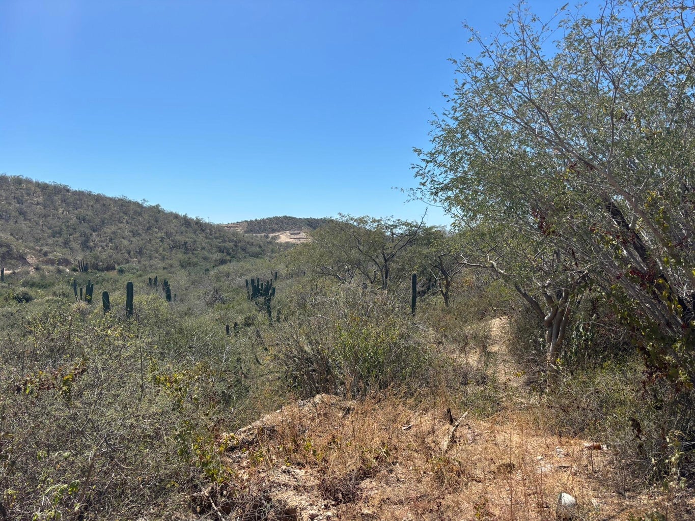 1 Animas Bajas, La Choya, San Jose del Cabo, photo 5