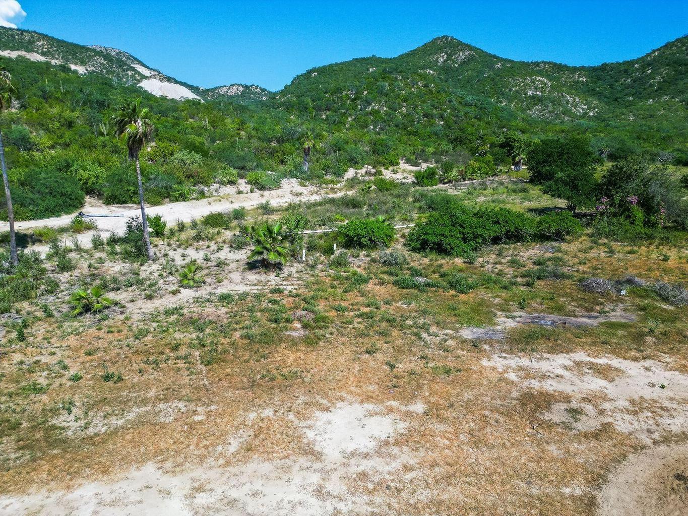 5 DE FEBRERO COL, San Jose Viejo, San Jose del Cabo, photo 3