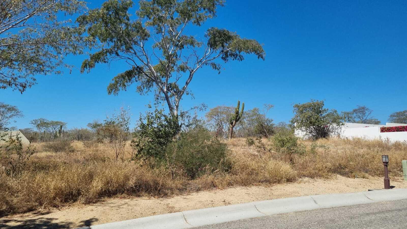 Lot F 11 Rancho Paraiso, Cabo Corridor, photo 4