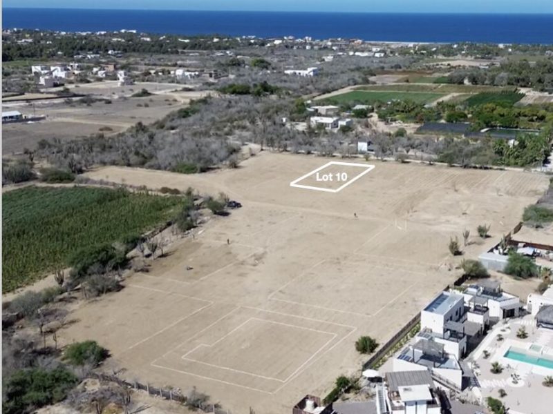 Lot 10, Gallo 64, Pacific