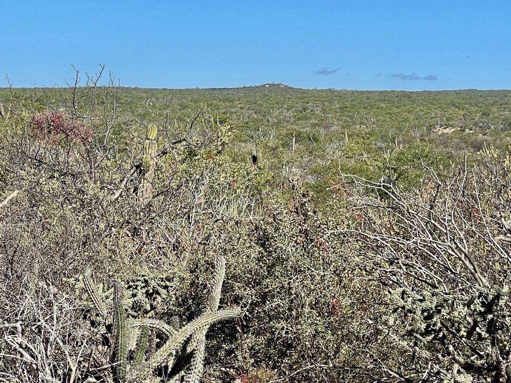 ZACATÓN DEVELOPMENT PARCEL, Zacaton, East Cape, photo 4