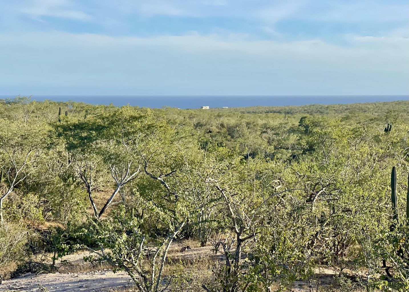 ZACATÓN DEVELOPMENT PARCEL, Zacaton, East Cape, photo 5