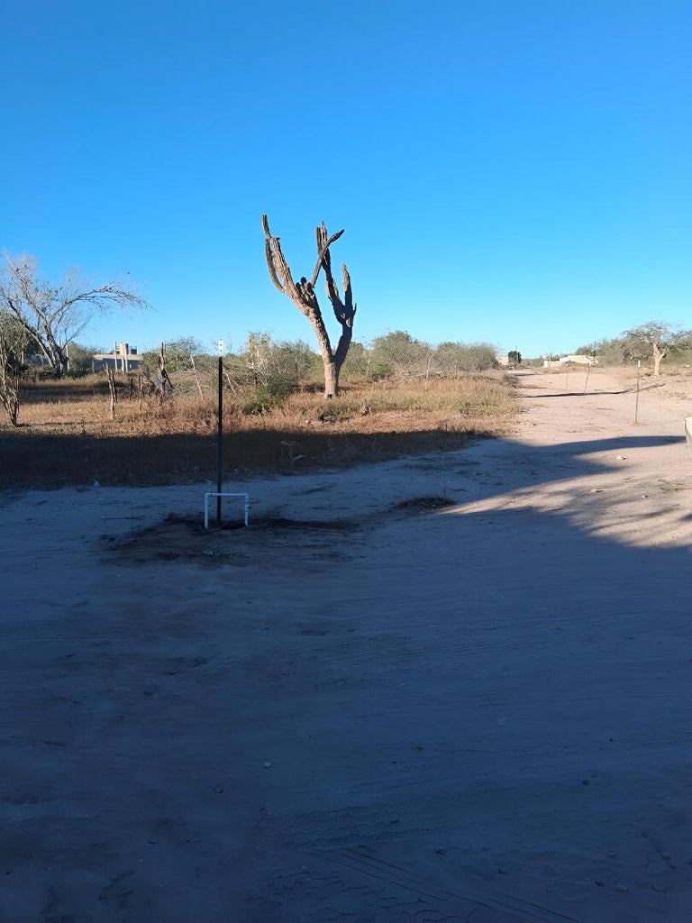 Zona 3, El Centenario, La Paz, photo 2