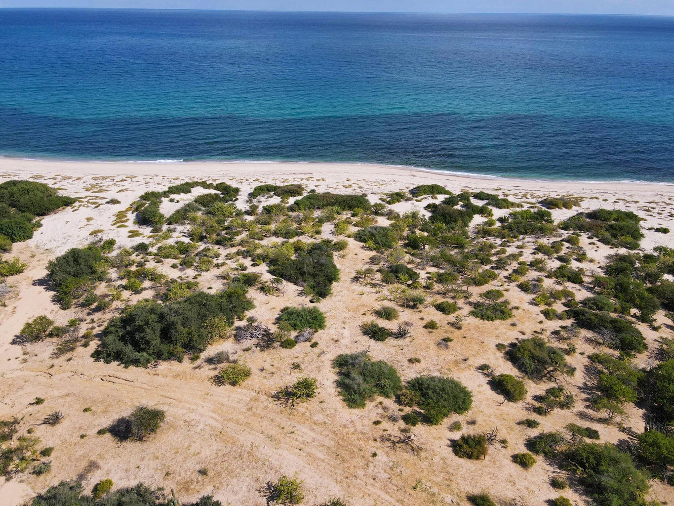 Lot in Las Tinas, East Cape, photo 2