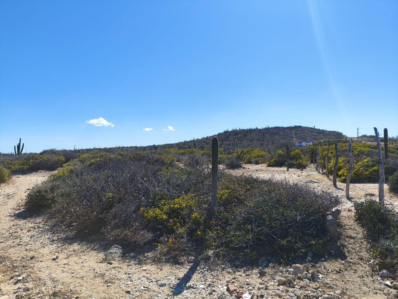 Lot in El Cardonal, East Cape, photo 5
