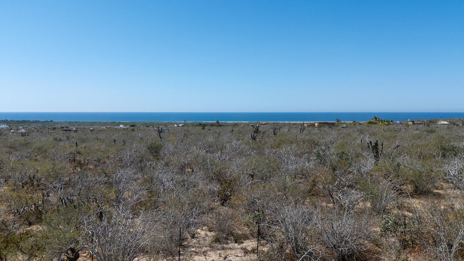 Todos Santos St, Las Playitas, Pacific, photo 3