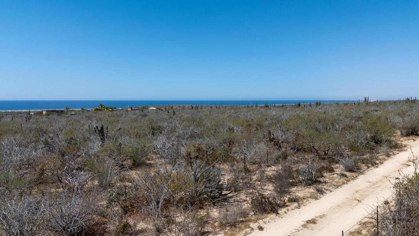 Todos Santos St, Las Playitas, Pacific, photo 5