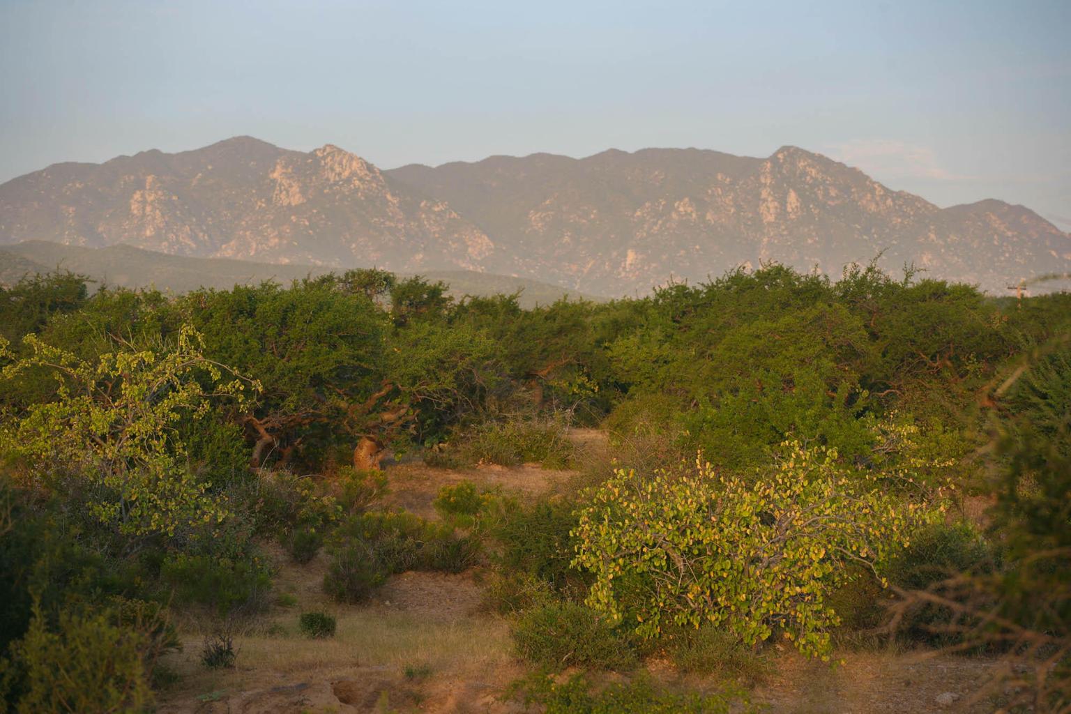 Lot in Las Tinas, East Cape, photo 4