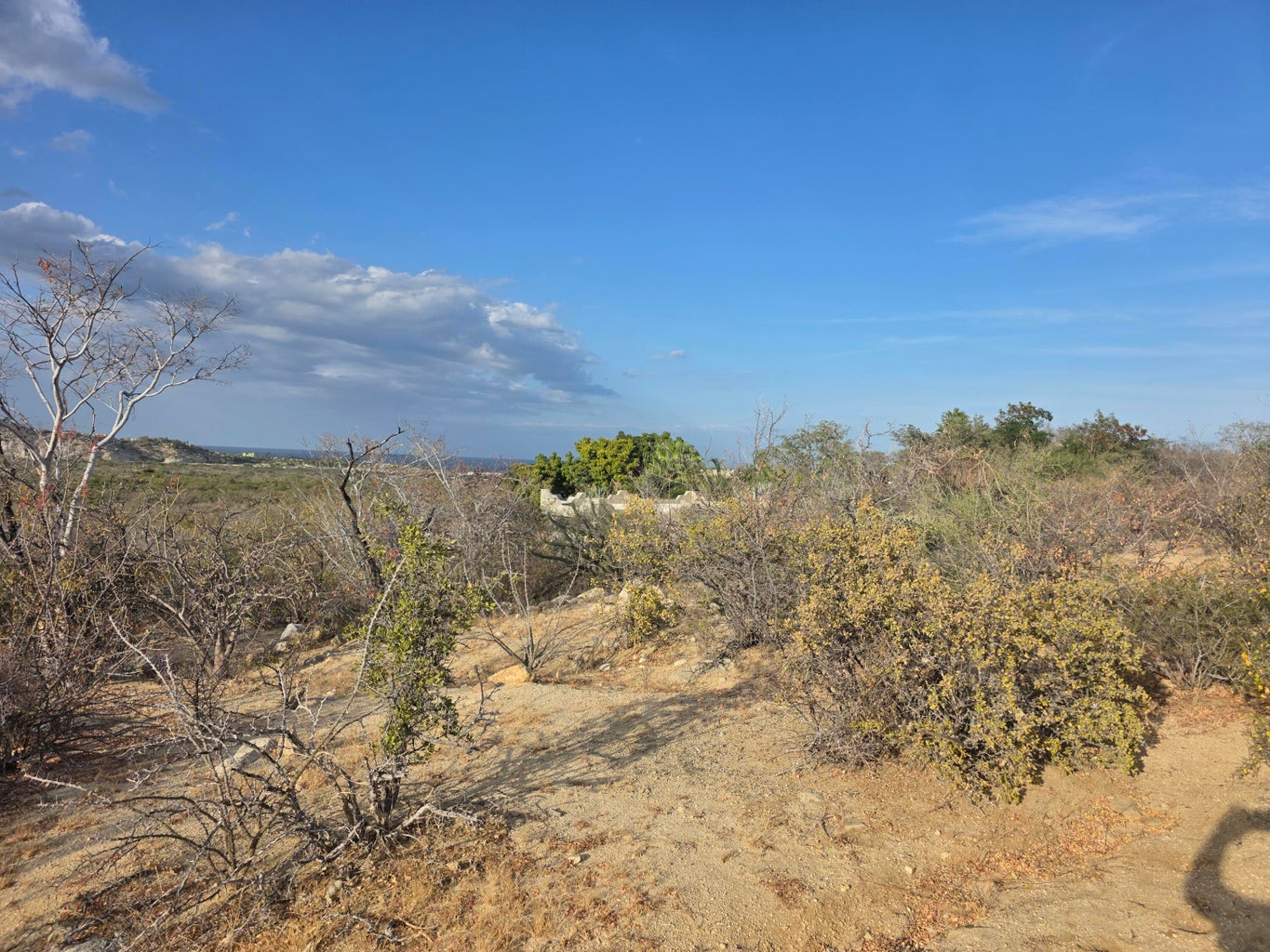 Lot in Los Barriles, East Cape, photo 5