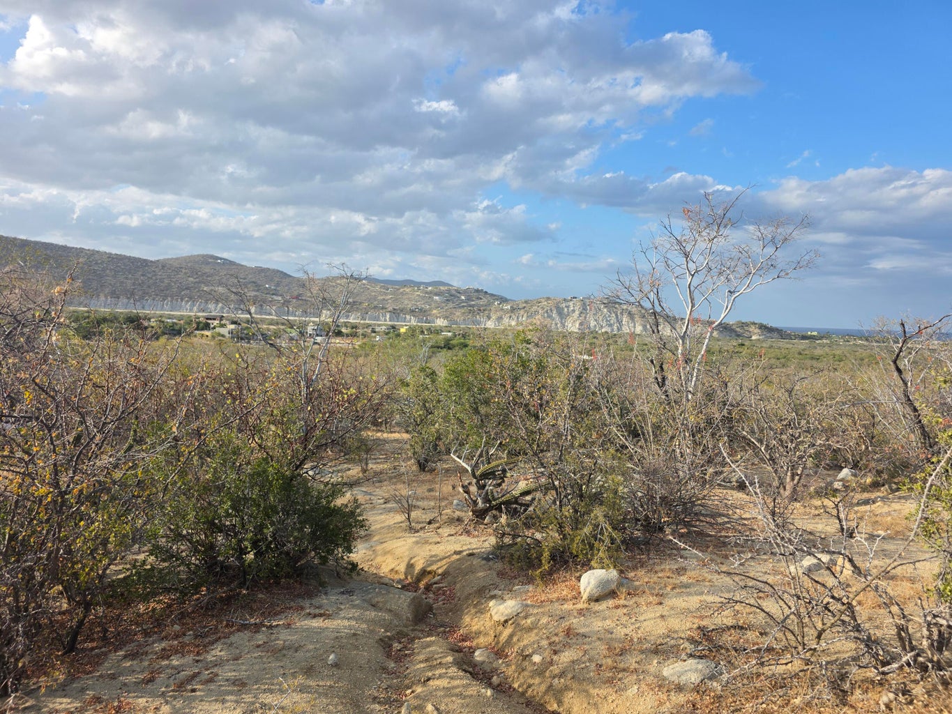 Lot in Los Barriles, East Cape, photo 3