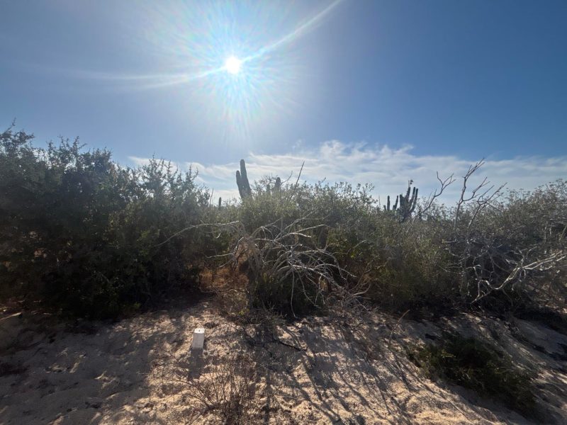 Camino de La Tiburon, Agua Blanca, Pacific