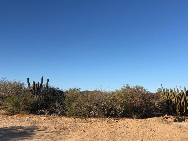 Lote 4 M5, Bahia Terranova, East Cape