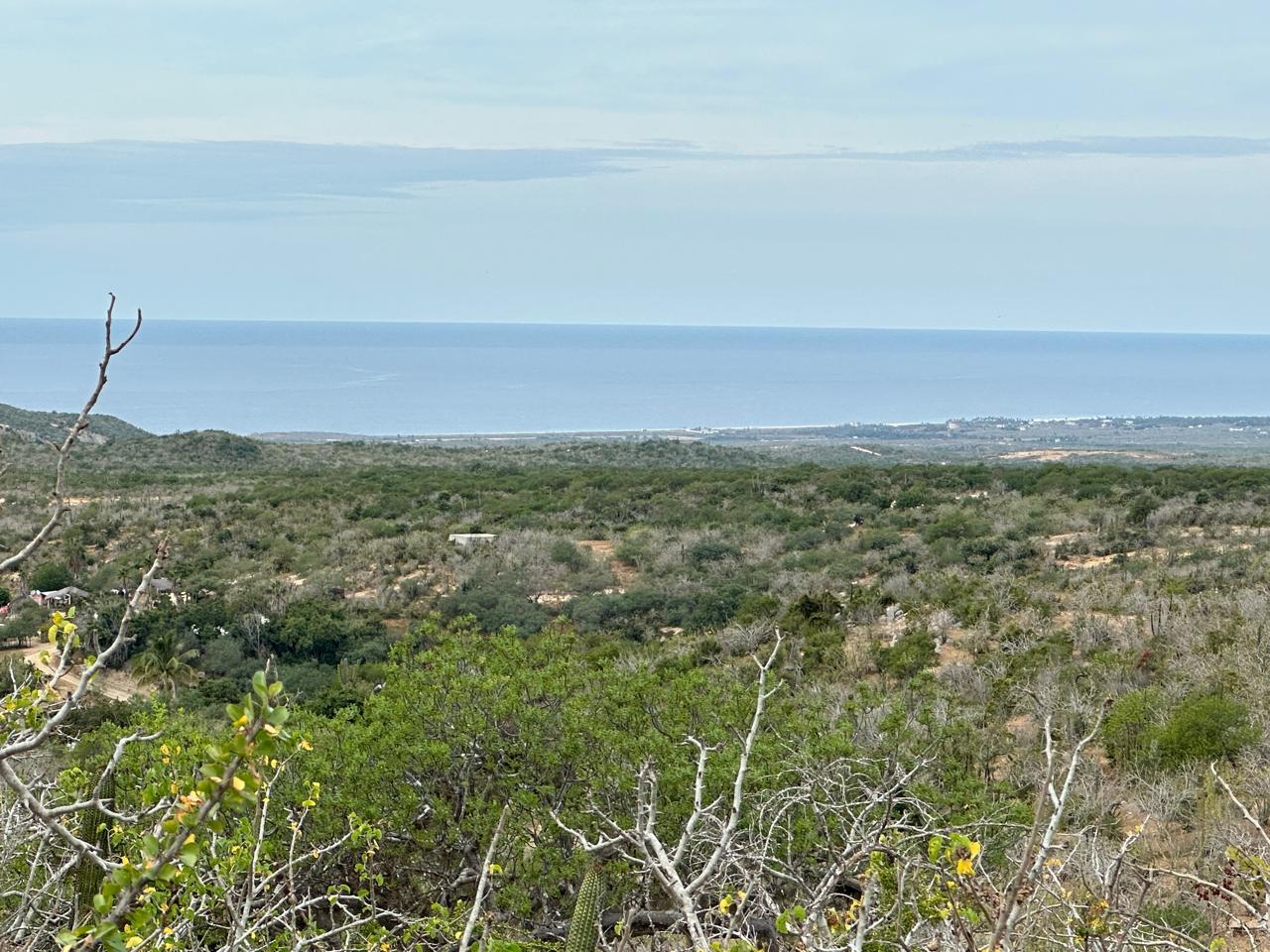 Lot 40 Matancitas, Elias Calles-Gen, Pacific, photo 2