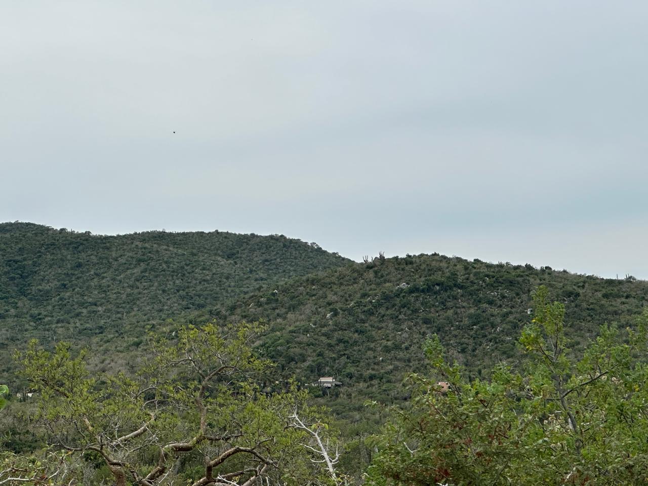 Lot 40 Matancitas, Elias Calles-Gen, Pacific, photo 3