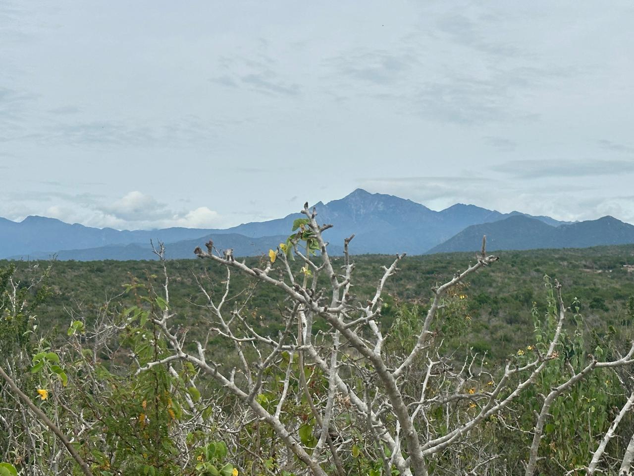 Lot 40 Matancitas, Elias Calles-Gen, Pacific, photo 5