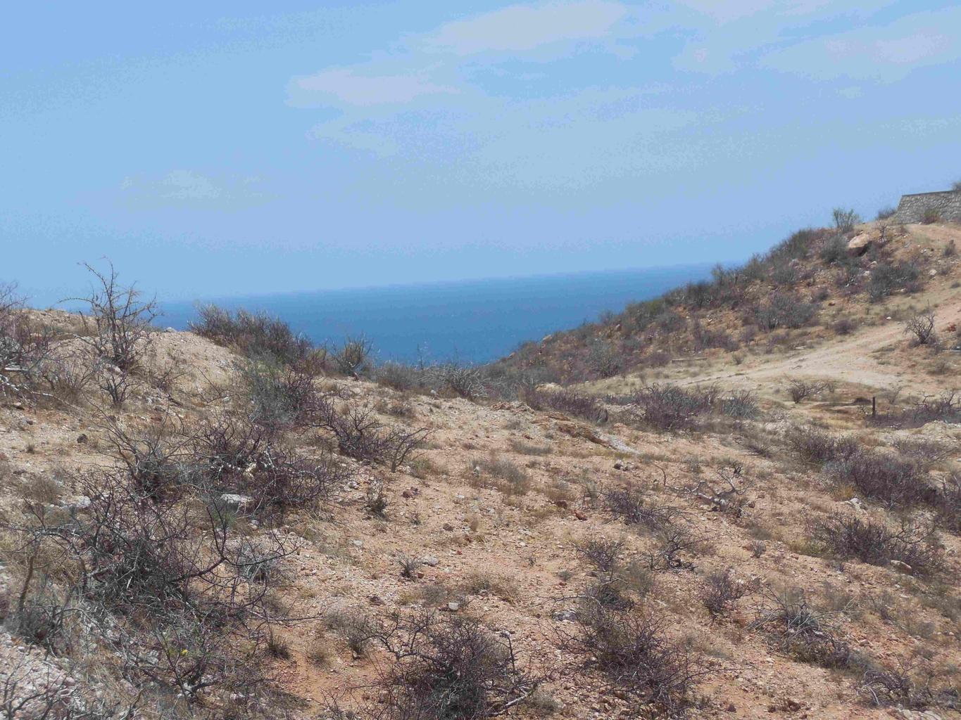 Lot in Cabo Colo-Ocean:Gen, San Jose Corridor, photo 4