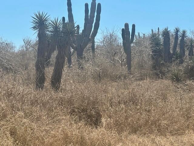Sauspedes (main access road), Cerritos, Pacific, photo 2