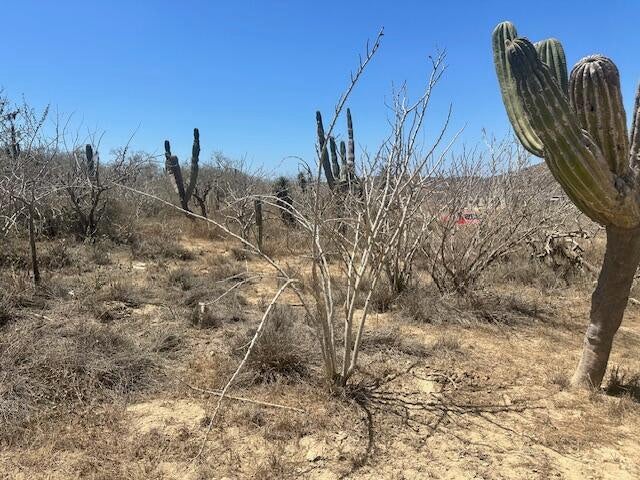 Sauspedes (main access road), Cerritos, Pacific, photo 4