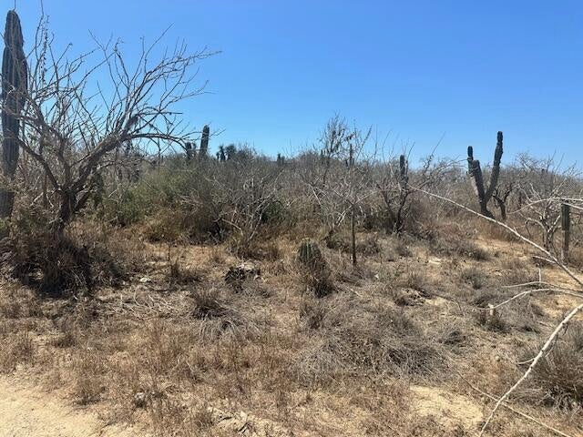 Sauspedes (main access road), Cerritos, Pacific, photo 5