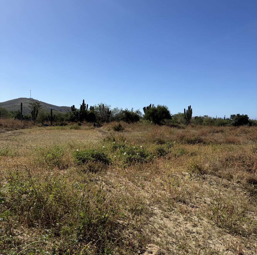Lot 7, Gallo 64, Pacific, photo 3