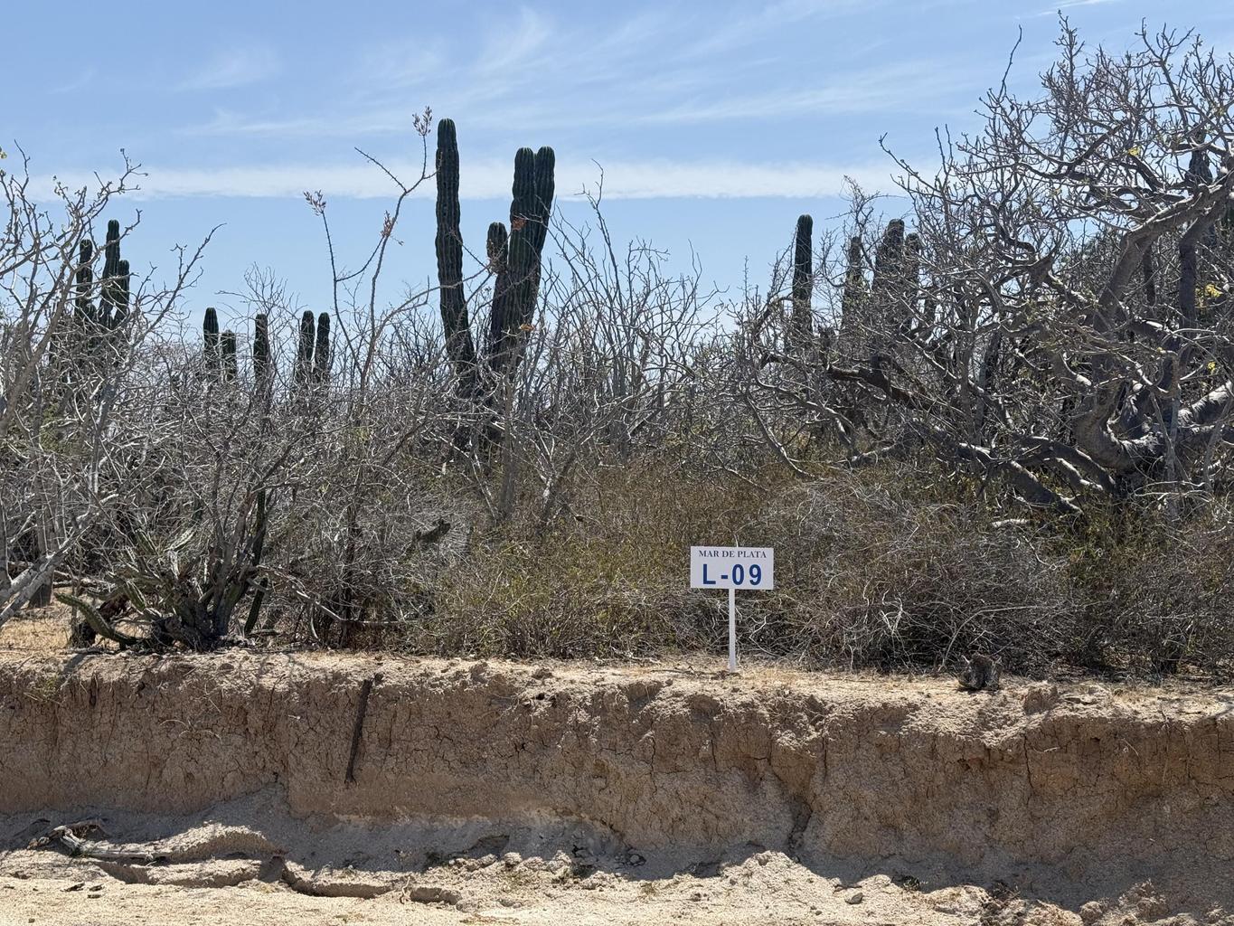 Lot in Shipwrecks, East Cape, photo 3