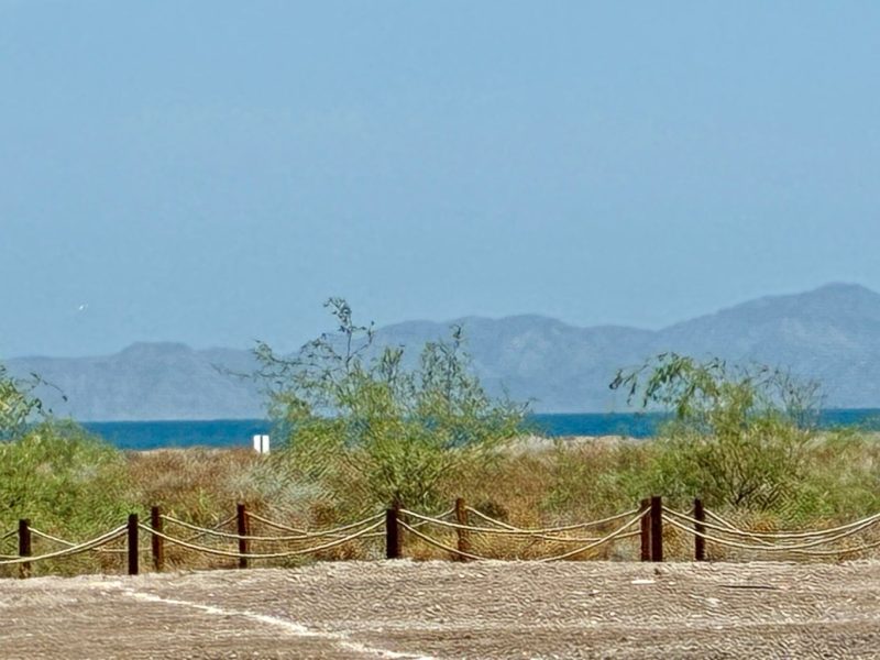Avenida La Marina, Founders, Loreto