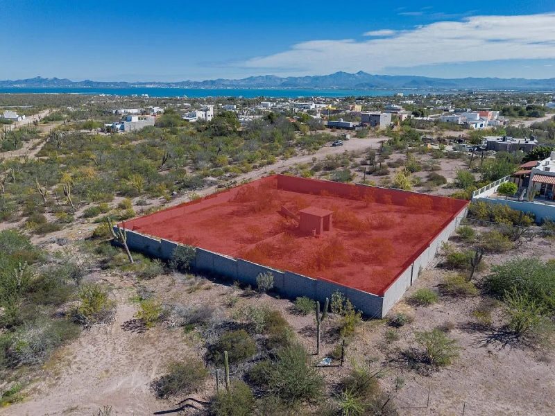 Palo Amarillo Centenario, El Centenario, La Paz