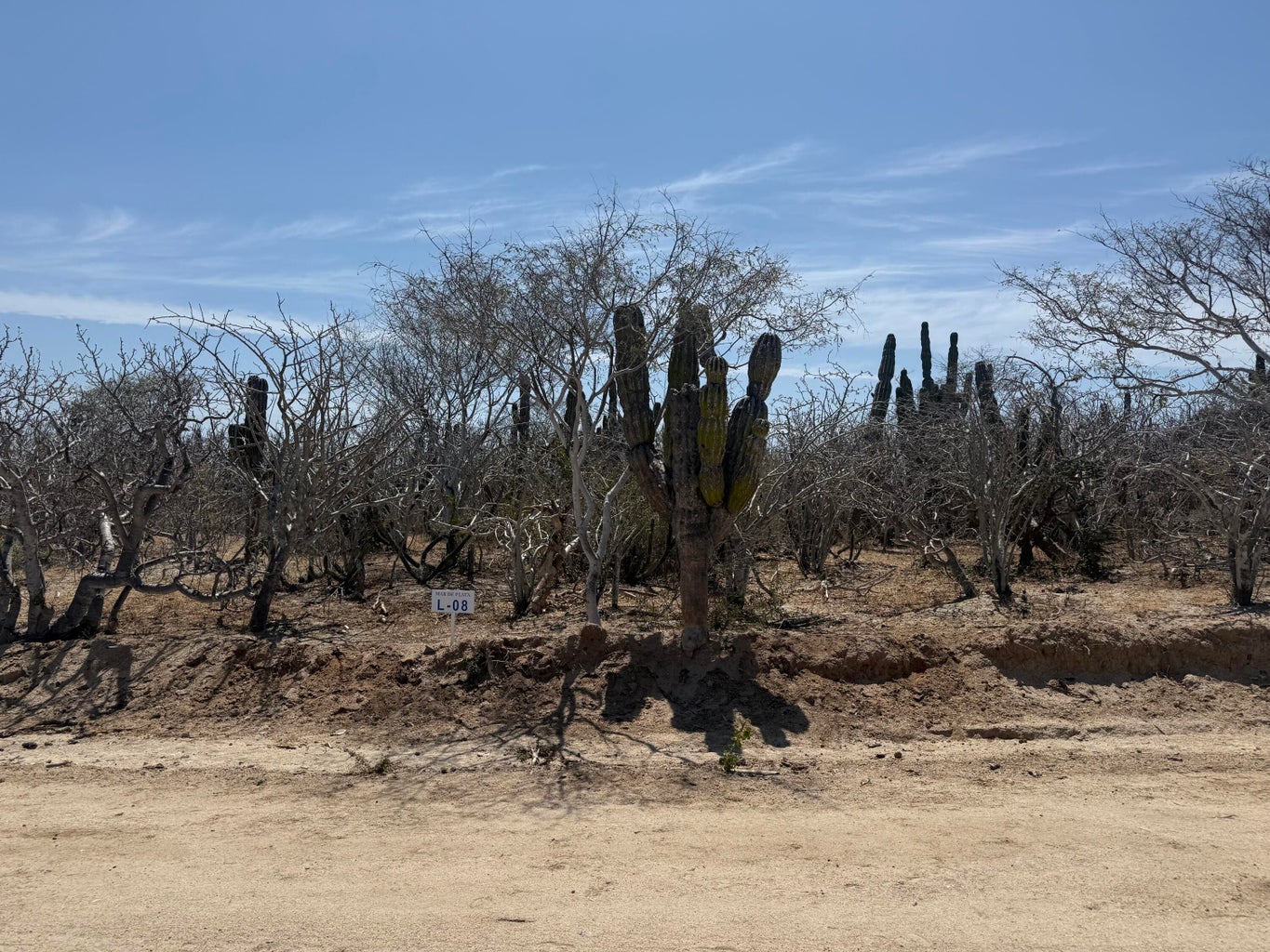 Lot in Shipwrecks, East Cape, photo 4