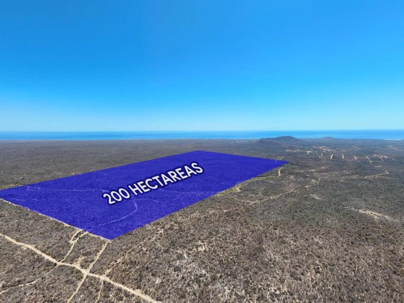 Lot in La Laguna, San Jose del Cabo