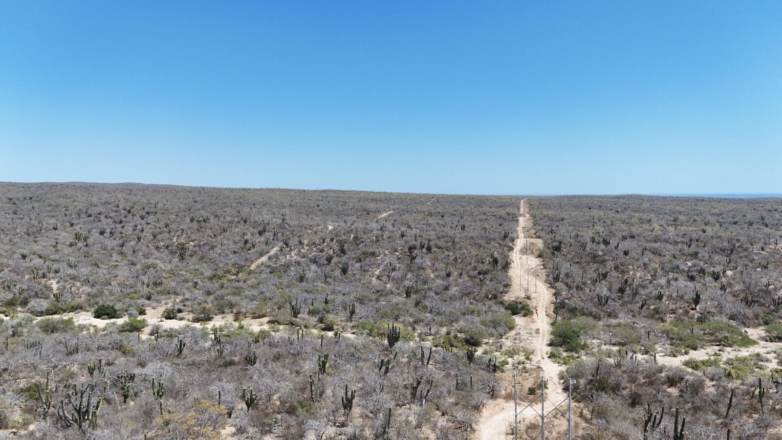 Lot in La Laguna, San Jose del Cabo, photo 3
