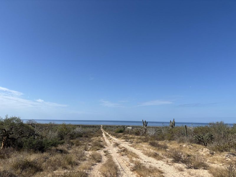 Camino de la Tintorera, Agua Blanca, Pacific