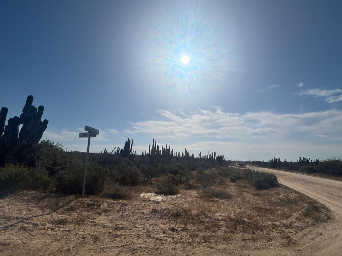 Camino de la Tintorera, Agua Blanca, Pacific, photo 4