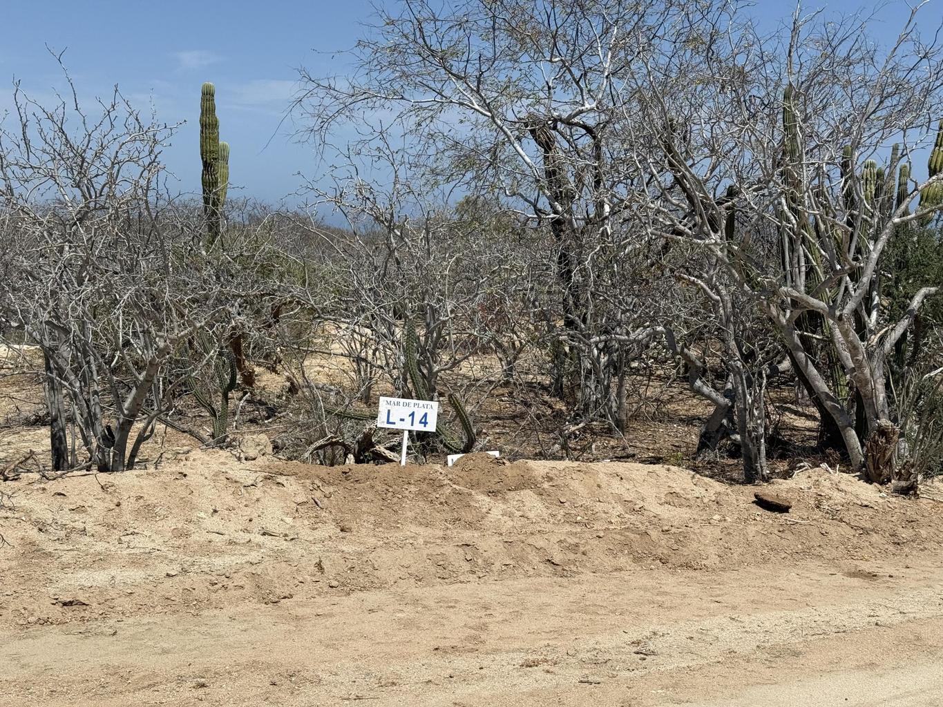 Lot in Shipwrecks, East Cape, photo 5