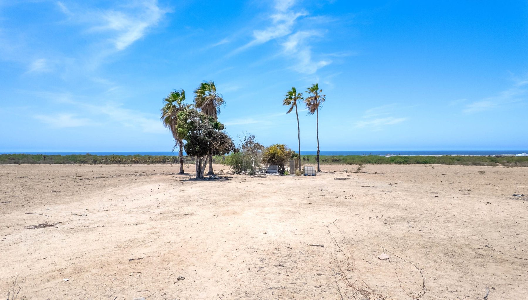 Todos Santos, Todos Santos-General, Pacific, photo 4