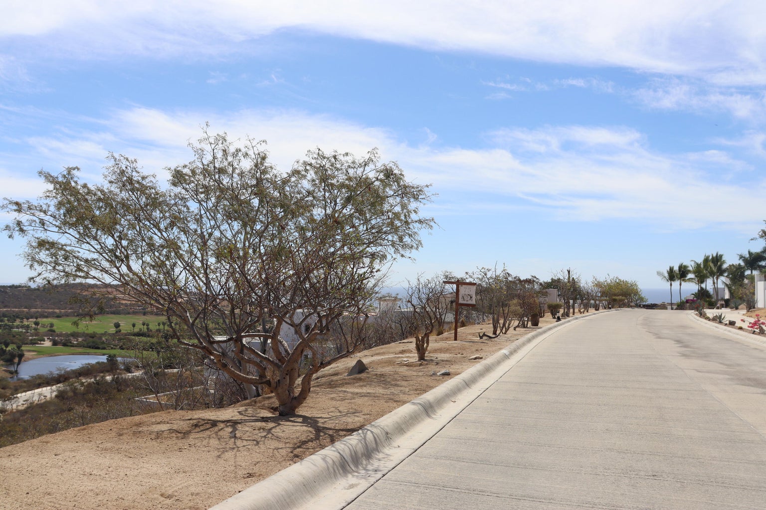 75 Calle Mision Santo Thomas, El Altillo, San Jose del Cabo, photo 5