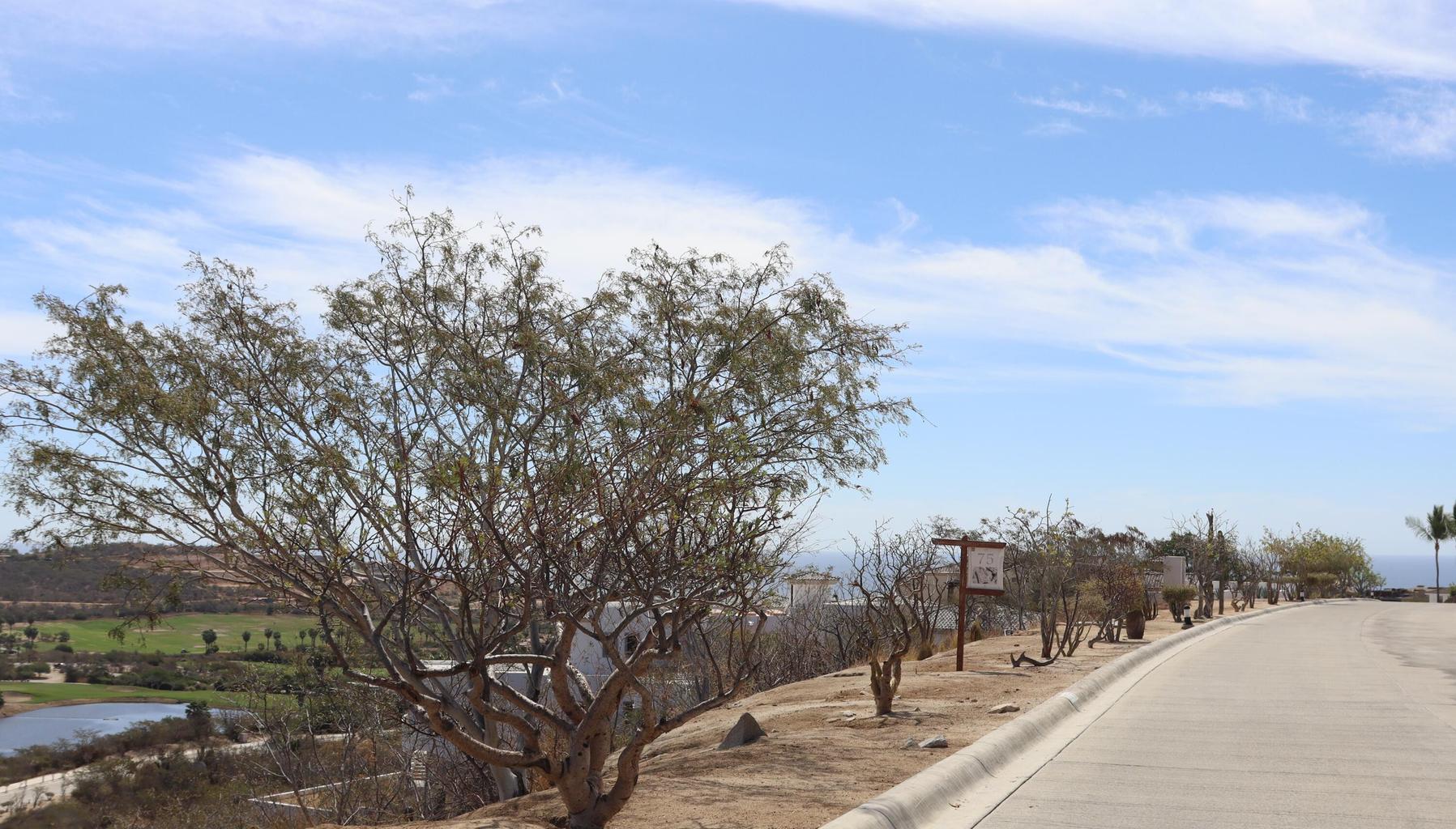 75 Calle Mision Santo Thomas, El Altillo, San Jose del Cabo, photo 3