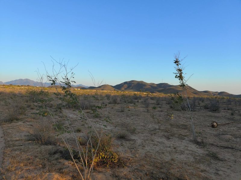 RANCHO NUEVO LOTE 9, Pacific