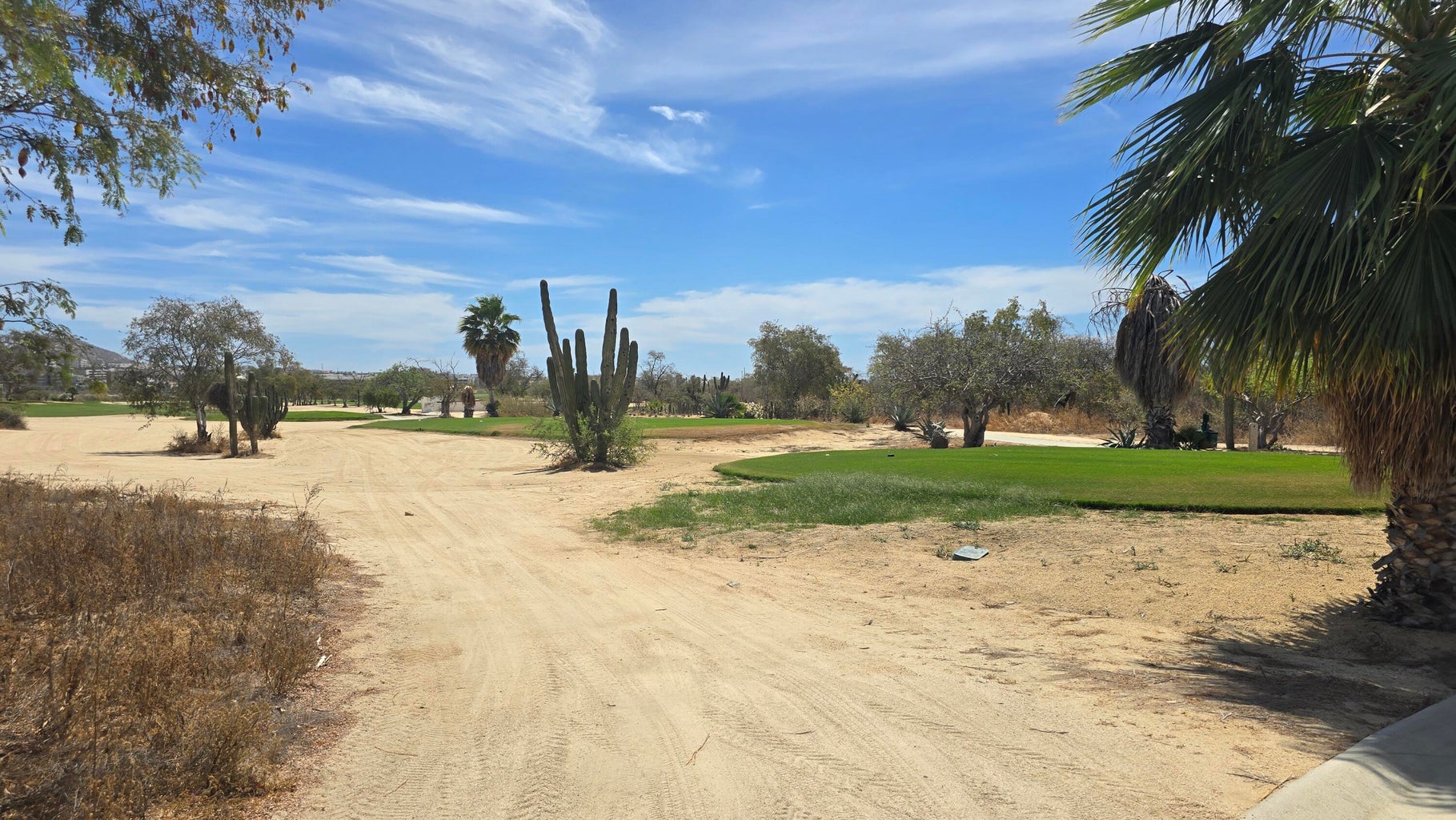 479 Cocotera, CSL C/Club Golf, Cabo Corridor, photo 5