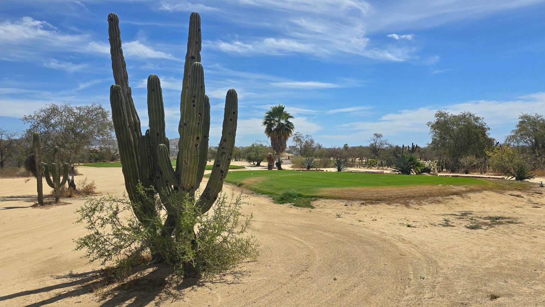 479 Cocotera, CSL C/Club Golf, Cabo Corridor, photo 4