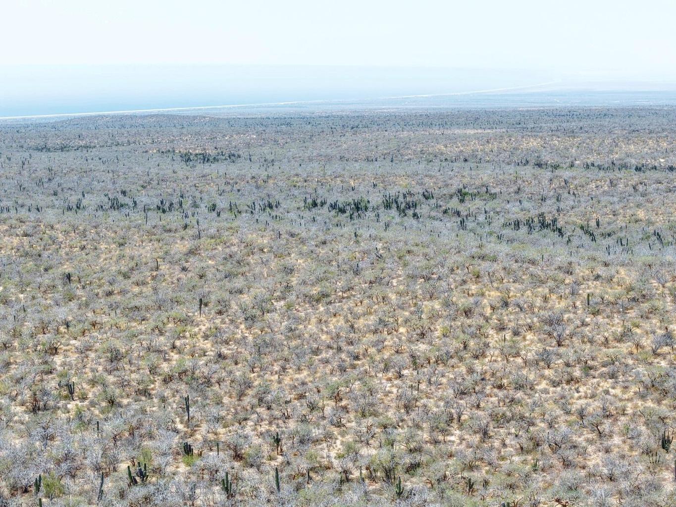 Lot in Las Playitas, Pacific, photo 2