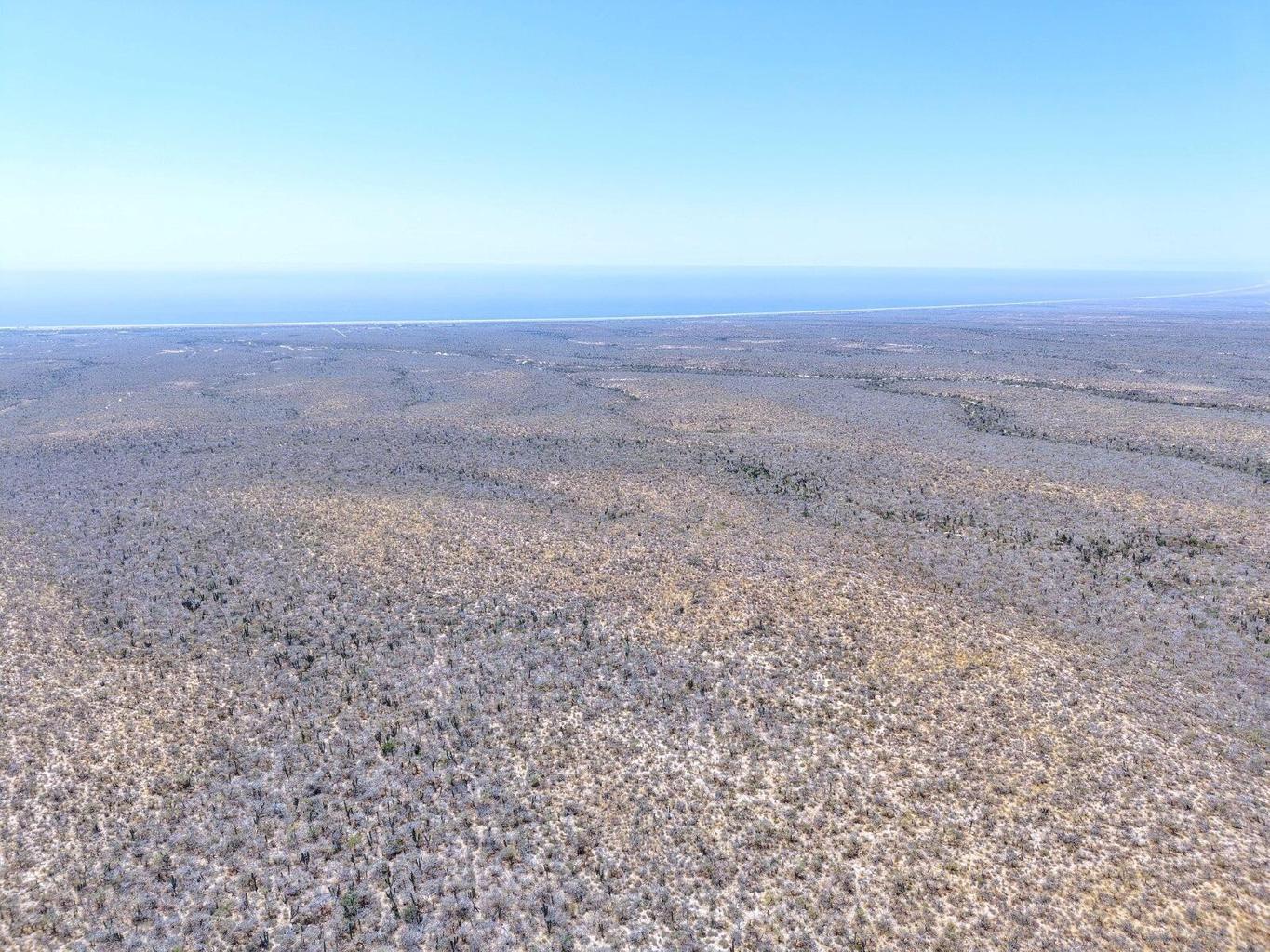 Lot in Las Playitas, Pacific, photo 5