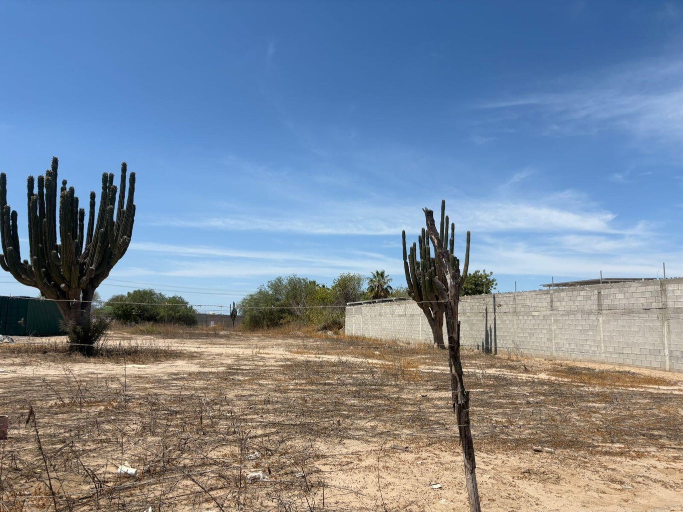 Lot in General, La Paz, photo 4