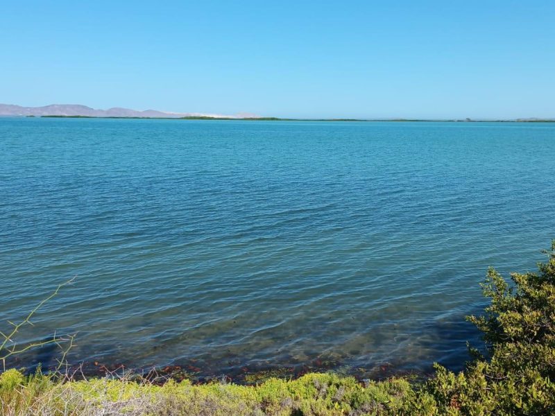 Lot in General, Mulege