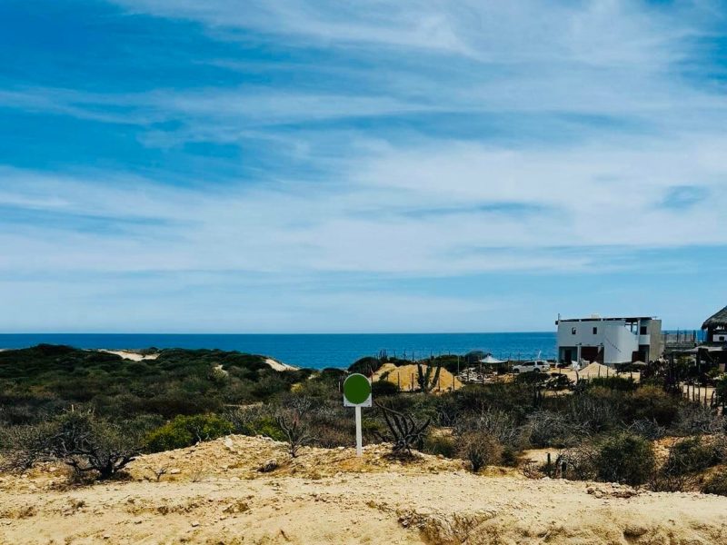 East Cape Road, Vinorama