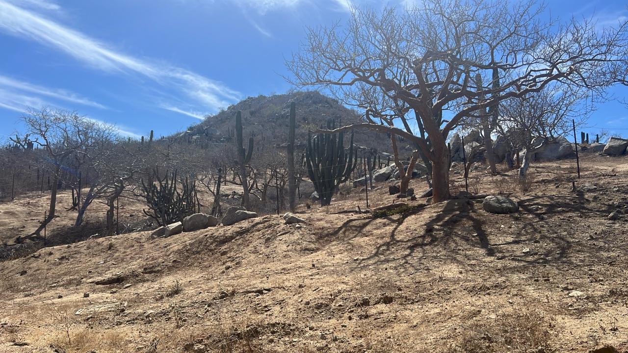 Fracción E Rancho El Pedregoso, San Cristobal, Pacific, photo 5