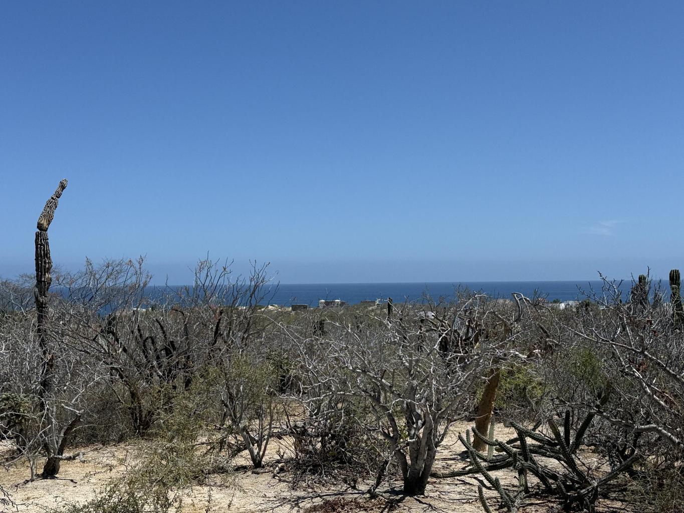 Lot in Shipwrecks, East Cape, photo 4